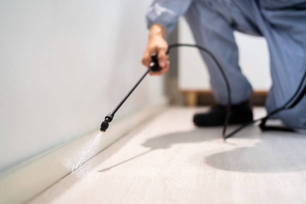 Licensed Pest Control service in Centreville, MI - Show Me Pest Control