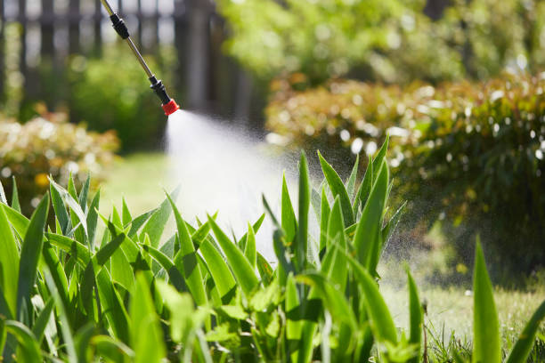 24/7 Emergency Mosquito Control experts in Centreville, MI